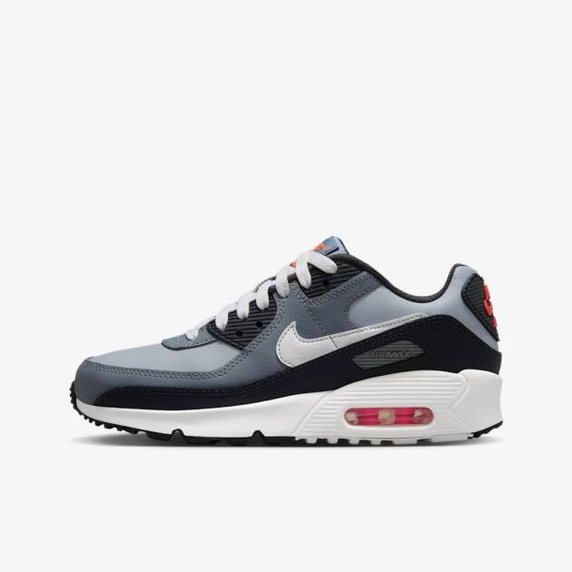 Nike Air Max 90 Wolf Grey/Cool Grey